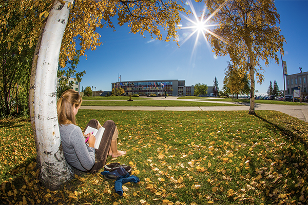 Student sits under a tree during a fall day