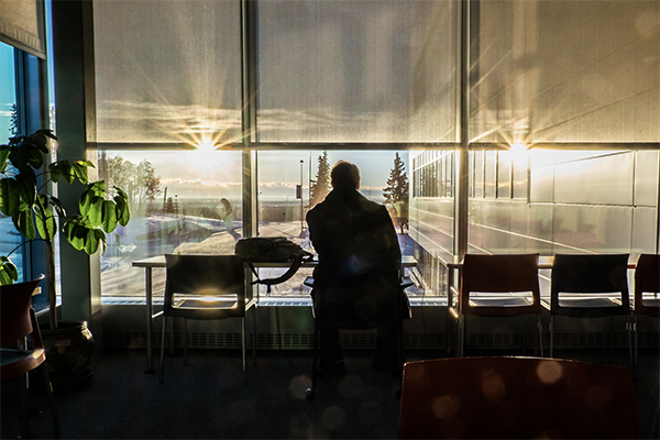 A person studies by a window in the Murie building